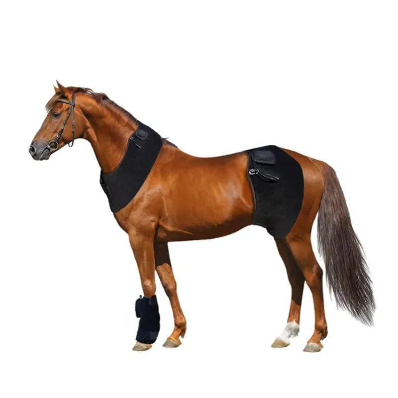 2026 Veterinary Healthcare Red Light LED Therapy Pad Infrared Light for Horse & Dog Hoof Care Pain Relief 660nm 850nm
