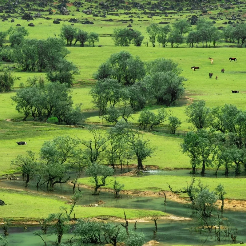 

JX Servo PDI-HV7246MG Digital Servo - 46KG Torque, 6-7.4V High Voltage, Steel Gear, Coreless