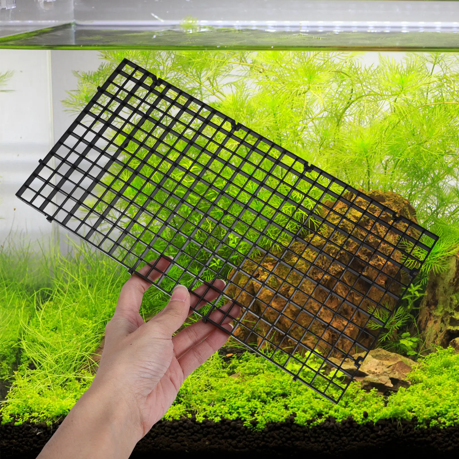 1Set Fish Tank Divider Aquarium Grid Plate Black Plastic Isolation Panel Breeding Survival Fry Separator Aquarium Supplies