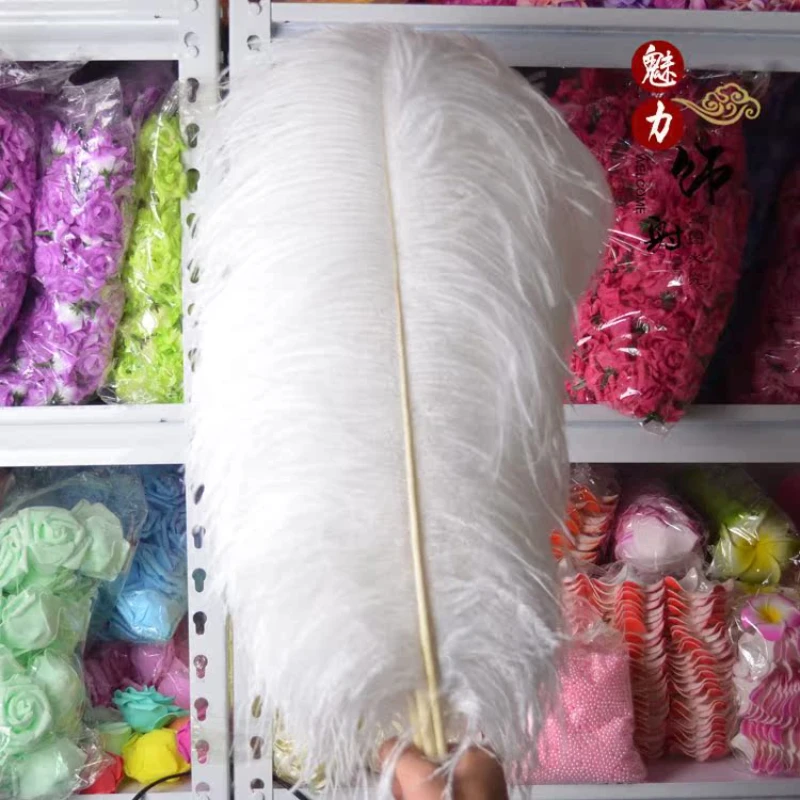 

70-75cm wedding ostrich feathers diy decorative feathers South Africa imported multi-color jewelry ostrich feathers.