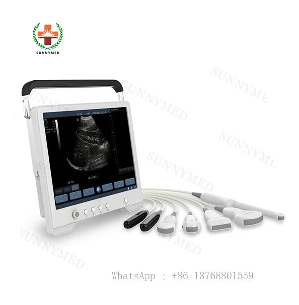 Portable Vet Digital Canine Ultrasound Machine With 6.5Mhz Microconvex Probe For Pet Clinic Small Animals Cats Dogs