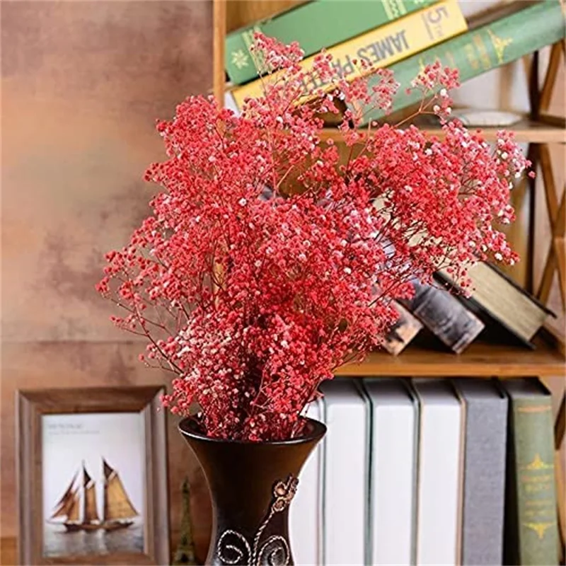 Dried Babys Breath Flower Bouquet,2500 + Red Flowers,Natural Gypsophila Branches for Wedding, Home Decor,Mother and Friends Gift