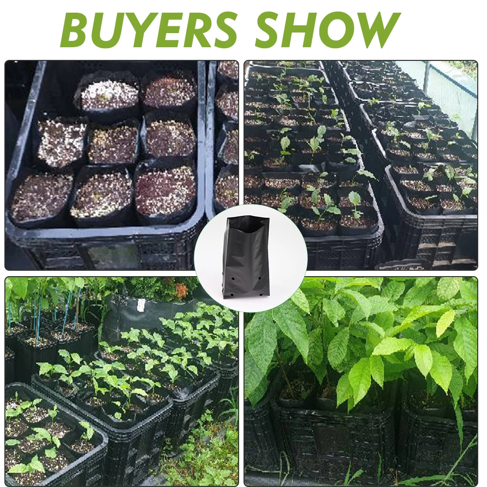 30-10pcs Black PE Punched Seedling Bag Tree Transplant Potting Bag Lightweight Anti-pull Gardening Orchard Breathable Plant Bag gallery 5