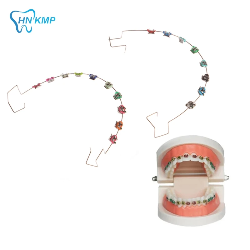 2Pcs Dentistry Fake Brackets Braces Teeth Temporary Dental Decoration Accessories Metal Wires Colorful Orthodontic Ligature Ties