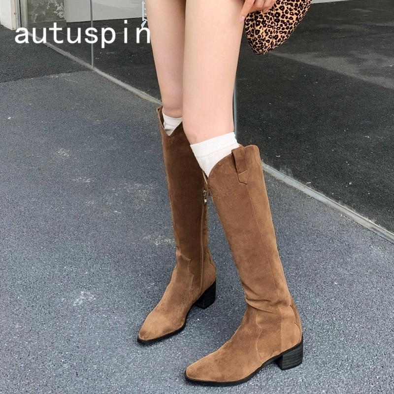 

Autuspin Classics Suede Leather Knee-high Women Boots Winter Autumn Ins Popular Long Botas Female Pointed Toe Thick High Heels