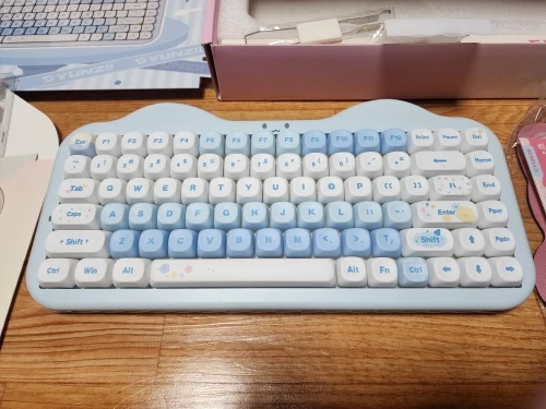 실물 포토 리뷰