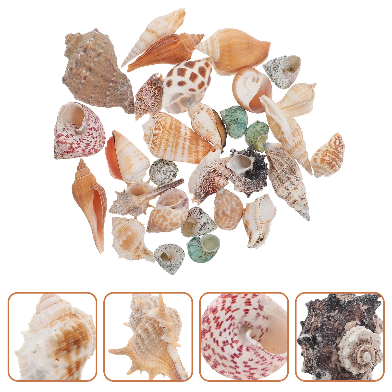 

1Set Mini Decorative Conch Fish Tank Decor Natural Aquarium Conch Ornament Realistic Landscaping Ornament Desktop Pond Adornment