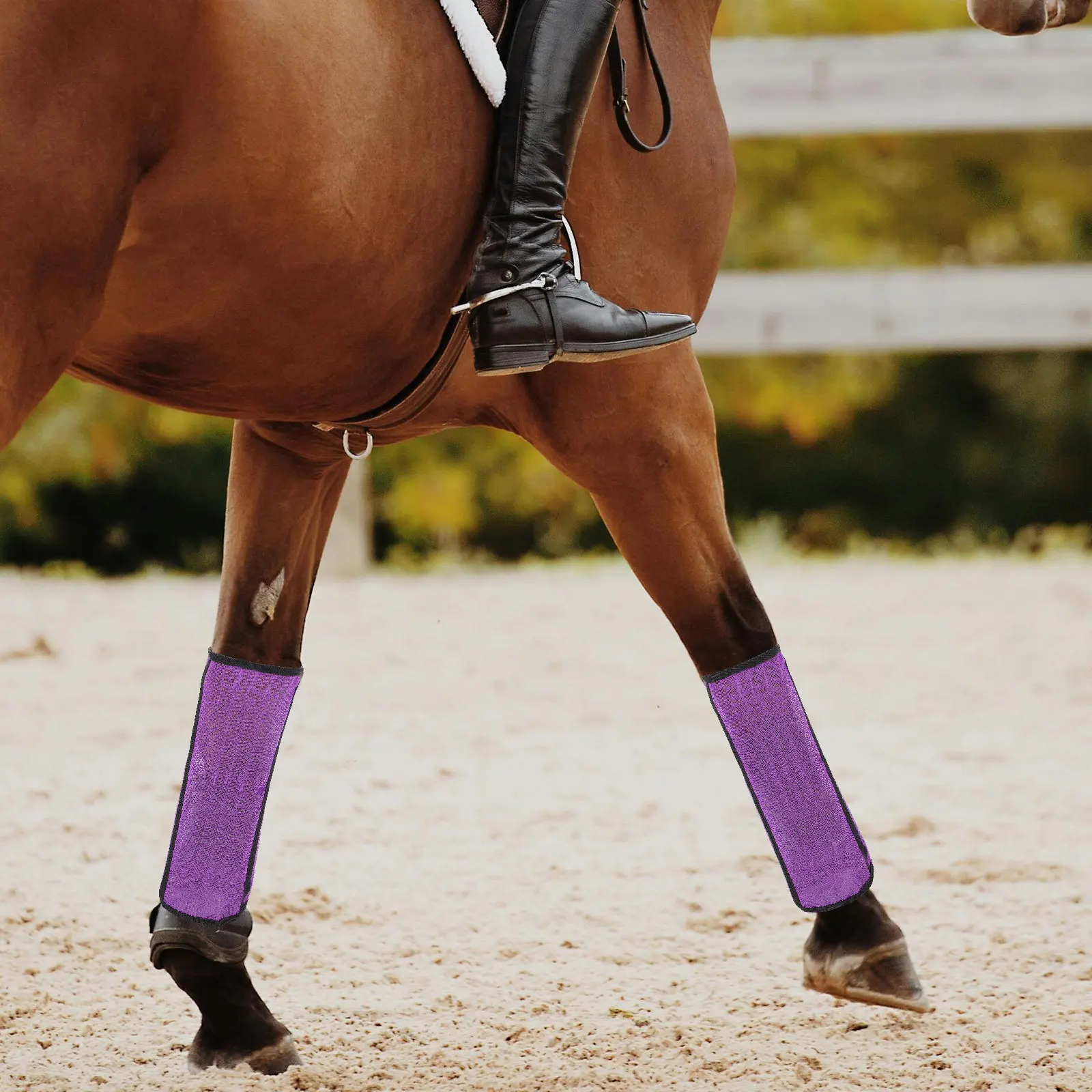 4-pieces-de-protections-en-maille-pour-pattes-de-cheval-professionnelles-respirantes-multifonctions-protection-contre-les-mouches-equipement-equin-protections-en-maille-multifonctions