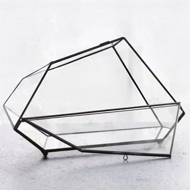 Micro Rainforest Landscape Ecological Geometric Glass Terrarium Tabletop Moss Fern Plant Glass Vase Container Table Greenhouse