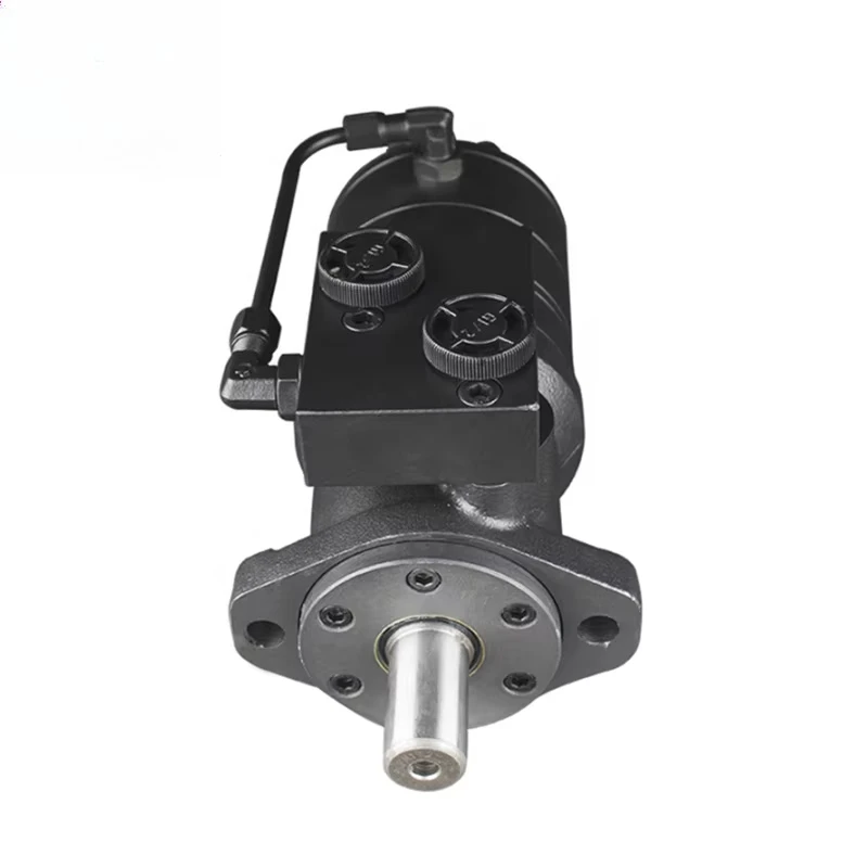 Hydraulic Drive Motor Replacement for ZHYD ZBMR BMR-BK01 BMR-BK02 LSHT OMR200 250 with Wood Splitting Mechanism