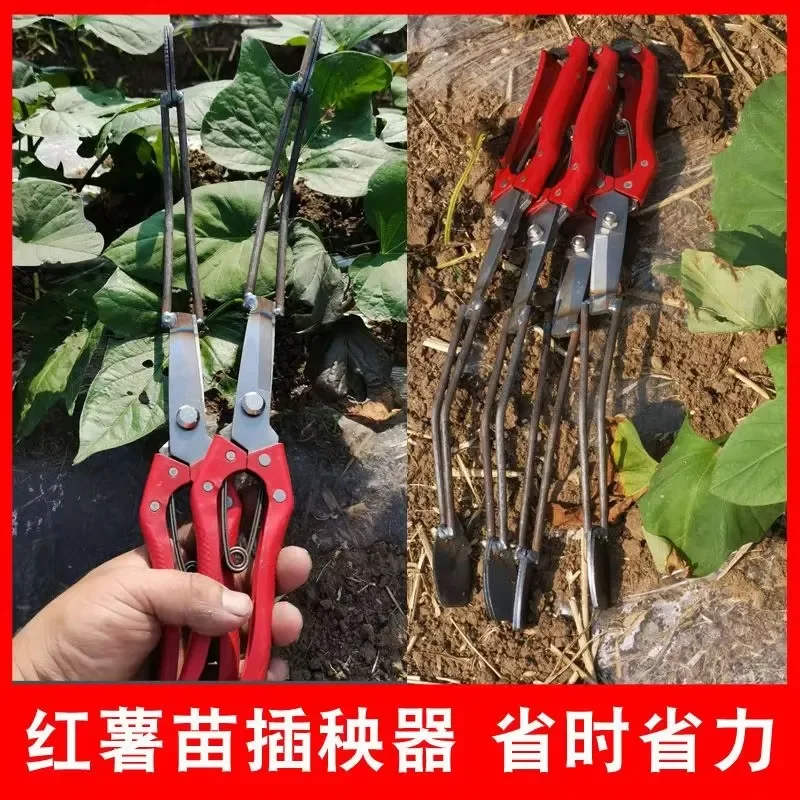 Sweet Potato Seedling Transplanter Tool Set with Precision Tweezers and Stainless Steel Scissors for Small Planting and