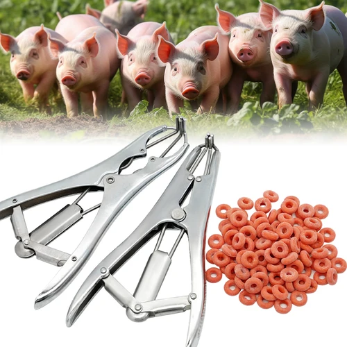 동물 양 꼬리 거세 포셉 확장 클램프 탄성 고무 거세 링, 농장 동물 무혈 꼬리 펜치 