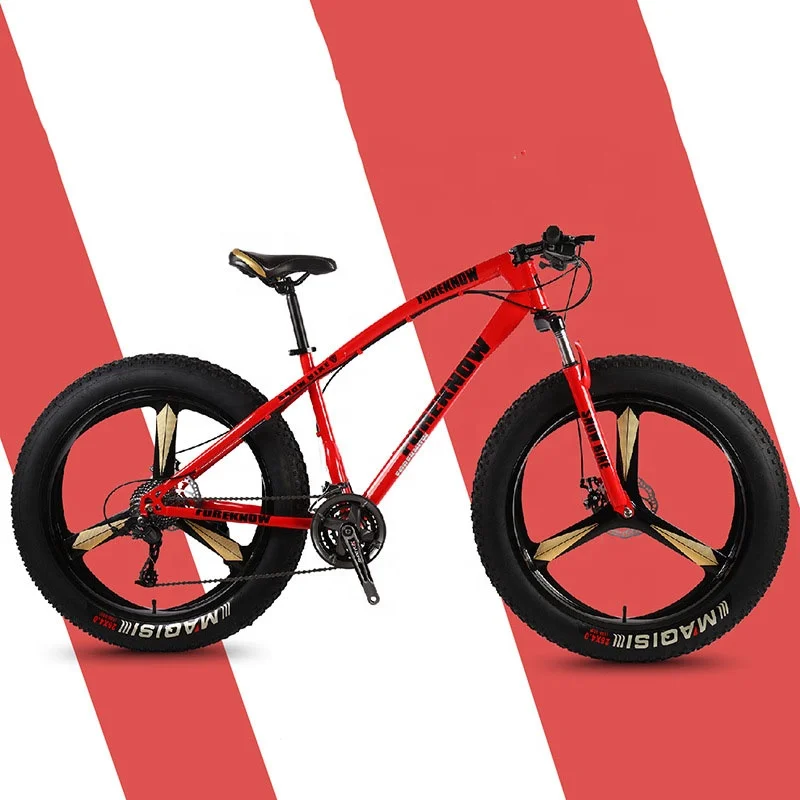 

2024 Fashion Wholesale 21/24/27/30 Speed 3 Wheel 24 Inch Bicycle Fat Tire Bike Mountain Snow and Beach