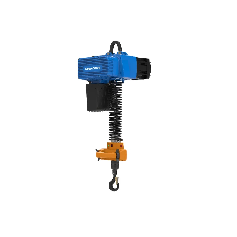KINMOTOR D2 Series Paddle Type Electric Hoist 250kg Lifting Crane Steel Chain 220v Electric Chain Hoist Electric Hoists