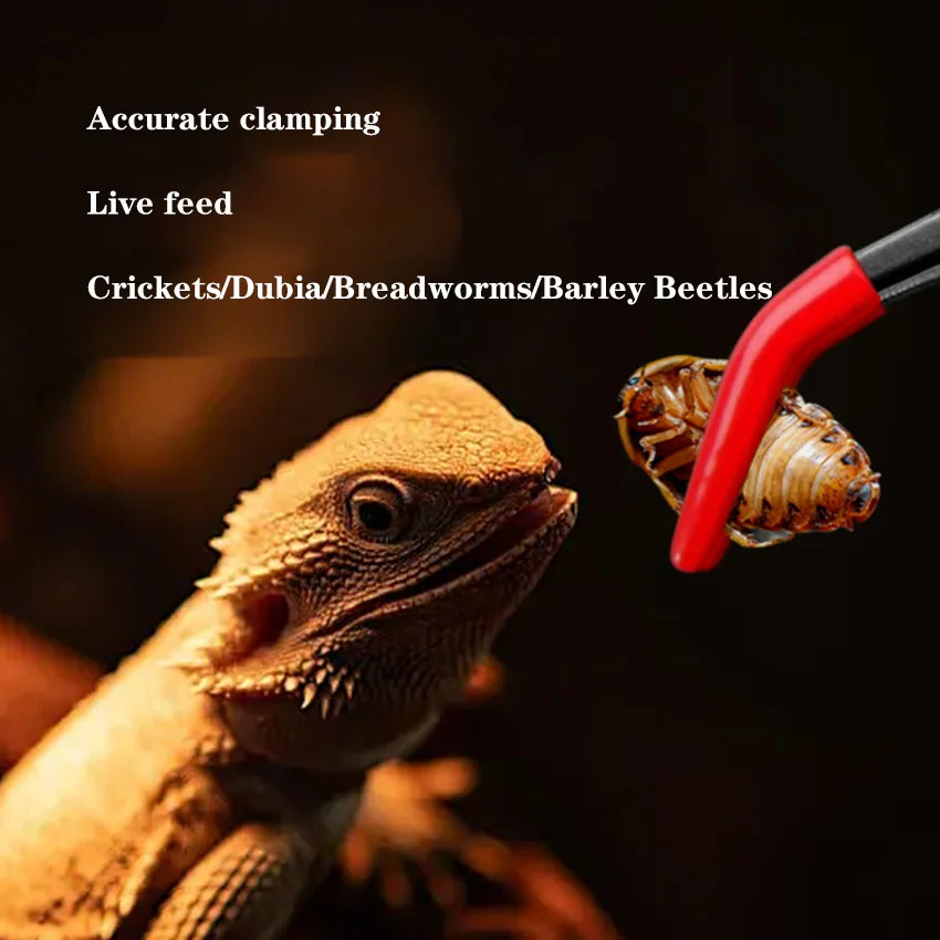Climbing Pet Feeding Tweezers Horned Frog Palace Lizard Insect breadbug Cricket Feeding Clip Stainless Steel Feces Cleaning Clip