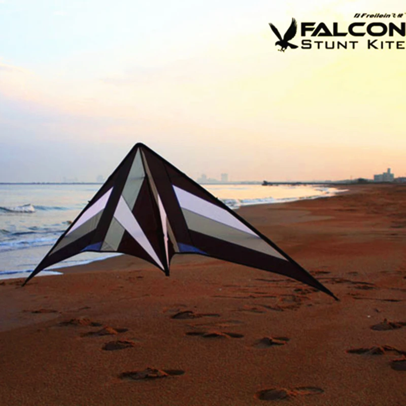 Spedizione gratuita 250 cm Professional Stunt kite Falcon aquiloni fabbrica Freilein aquilone doppia linea per adulti kitesurf volare all'aperto