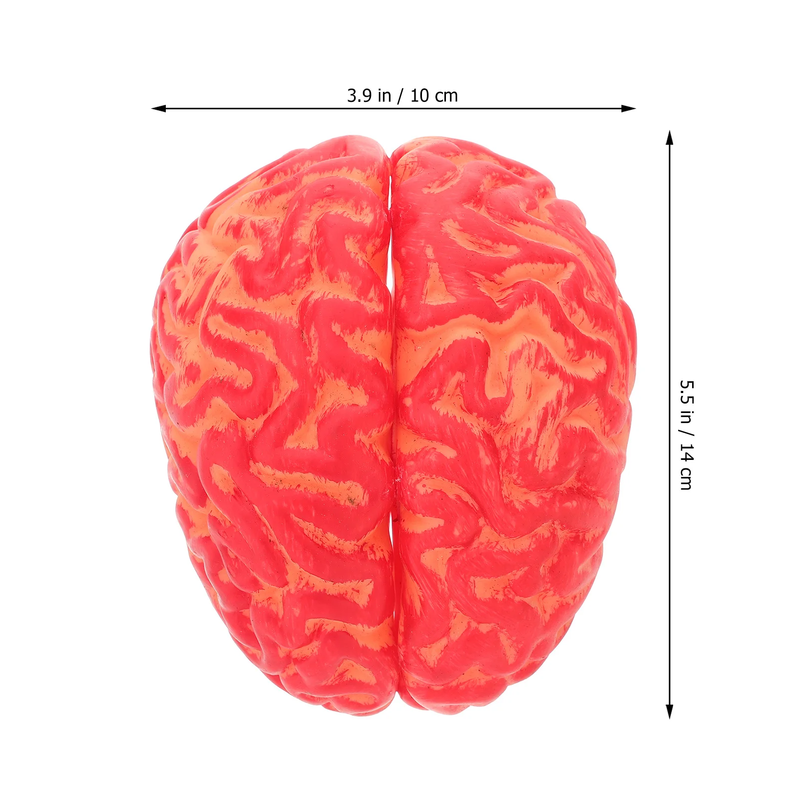 

1pc Simulation Blood Brain For Halloween Party Prank Tool Artificial Creepy Fun Gathering Kids Entertainment Novelty Gag Gift