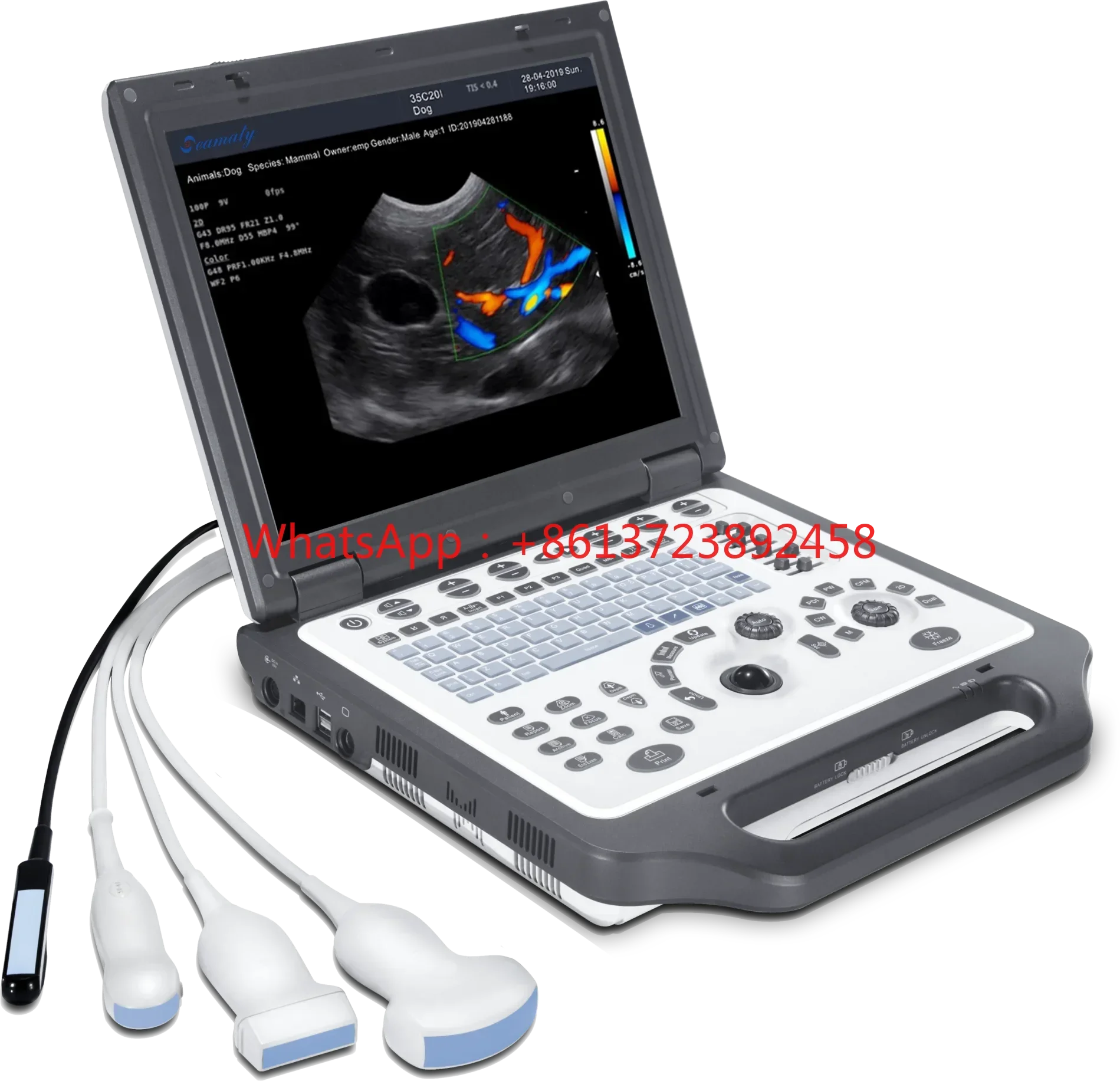 

SV8 Portable Animals Ultrasound/ Veterinary Ultrasound Machine/vet Handheld Ultrasound Scanner Electric Ce 24 Free Spare Parts