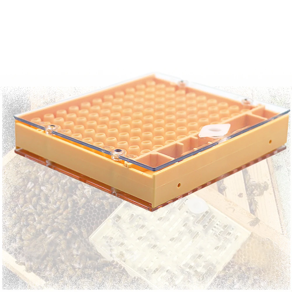 1PCS Nicot Queen Rearing Box Plastic Cell Cup Grid High Accepted Apiculture Without Graft Cupularva Breeding Box In Comb Bee