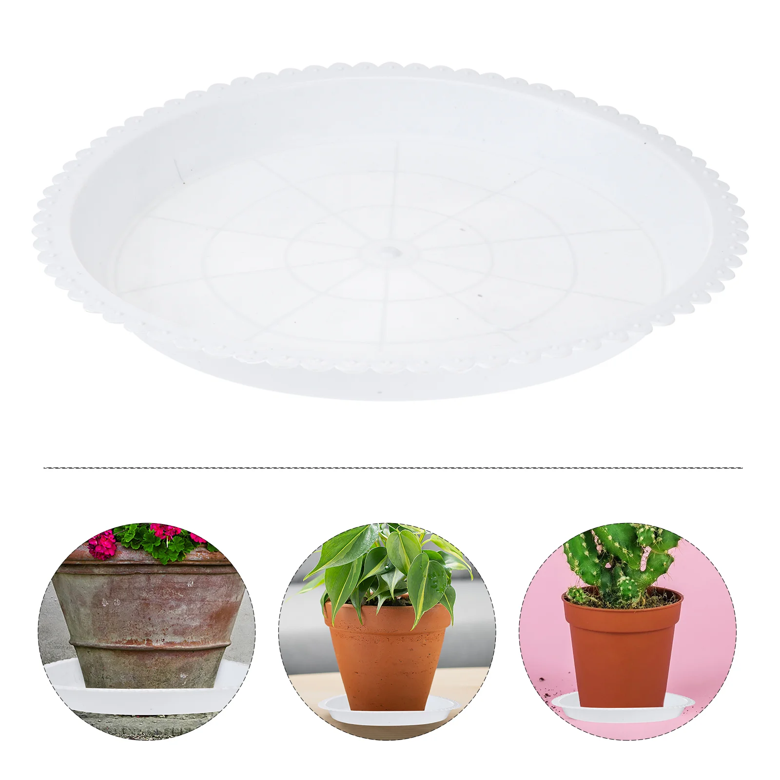 

10 Pcs Houseplant Pots Flower Tray Flowerpot Base Bottom Bracket Serving Round White