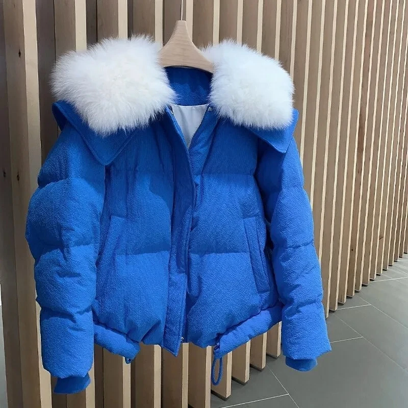 Jaket Katun Kerah Biru Dongker Imitasi Bulu Rubah Klein Blue Wanita Musim Dingin 2025 Desain Tebal Baru Mantel Pendek Wanita Hangat Pike