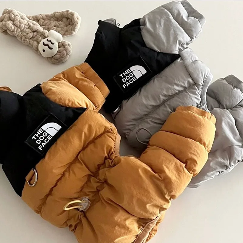 #59 Dog Apparel Comparison Guide