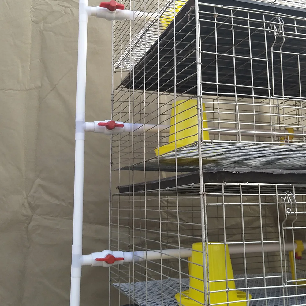 Automatic H Type Baby Chick Brooder Cages with 2000 Birds Capacity  for Poultry Farm in South Africa