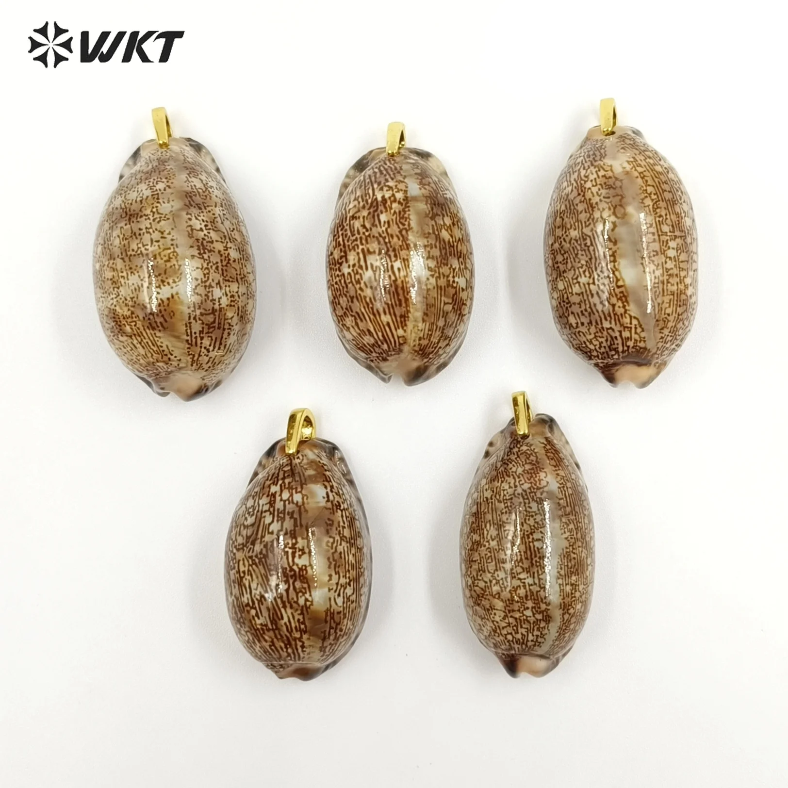 

WT-JP492 Natural Irregular Size Arabian Cowrie Shell And Zircon Paved Texture Smooth Pendants Accessory For Necklace Making