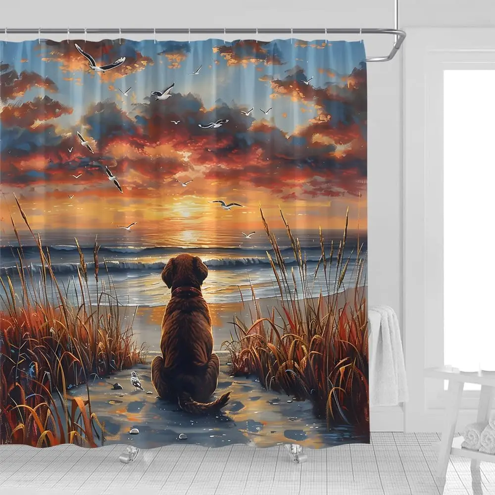 

Забавная собака, пляжная занавеска для душа, милые животные, океан, пляж, закат, восход солнца, дикие сорняки, чайка, морской пейзаж, морские милые домашние животные