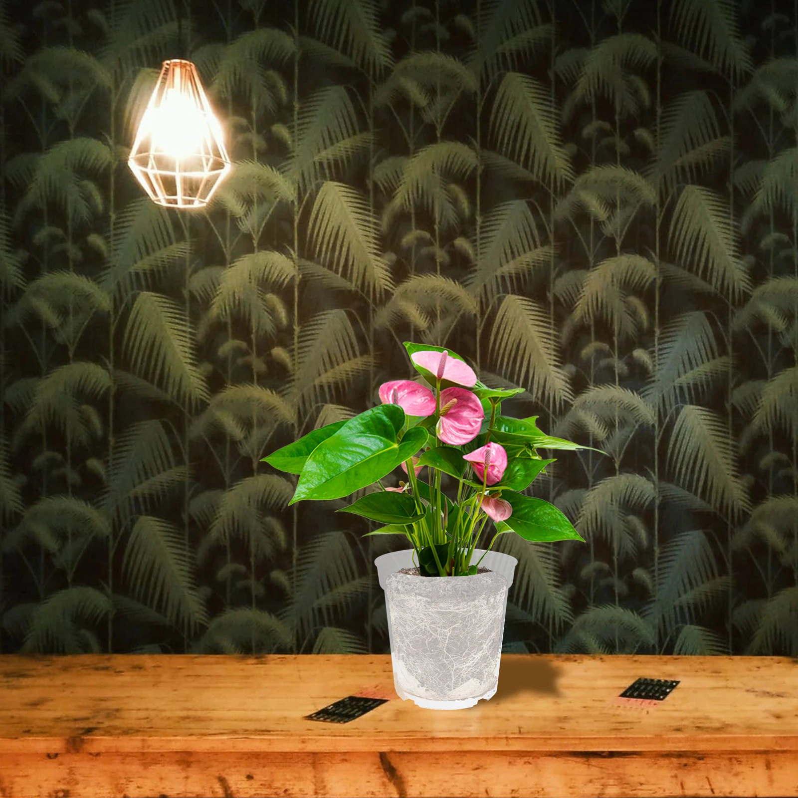 

5Pcs Transparent Nursery Flower Pots Plastic Plant Cups Orchid Seedling Containers Garden Supplies Nursery Pots