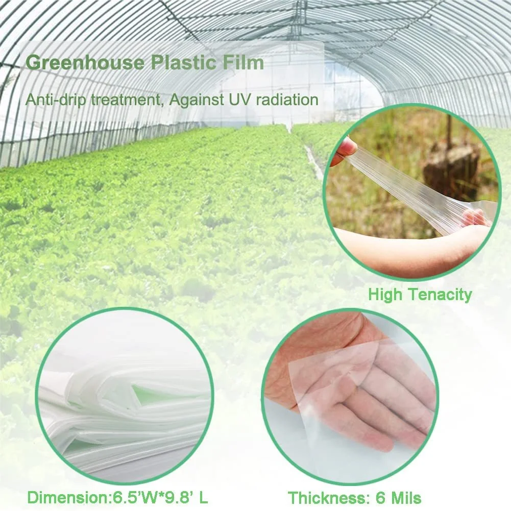 PE Greenhouse Cover Greenhouse Film Indoor Plant Protection Customizable Greenhouse Film Size Customizable Plastic Film