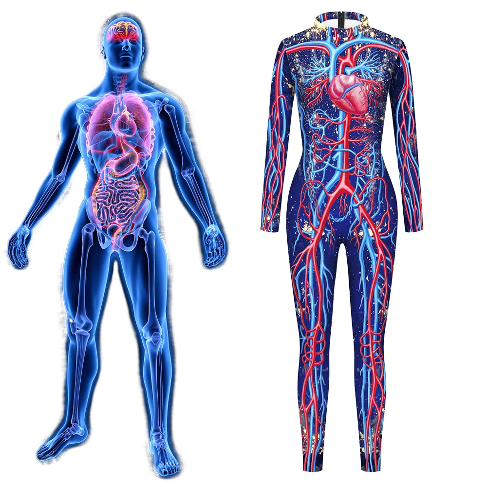 Human Cardiac Vascu…