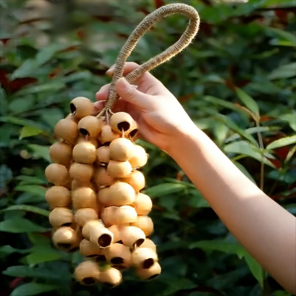 

ASMR Фруктовая ракушка Феникса, ручная работа, медитация, йога, аккомпанемент, колокольчик, звуковая терапия, ударные музыкальные инструменты