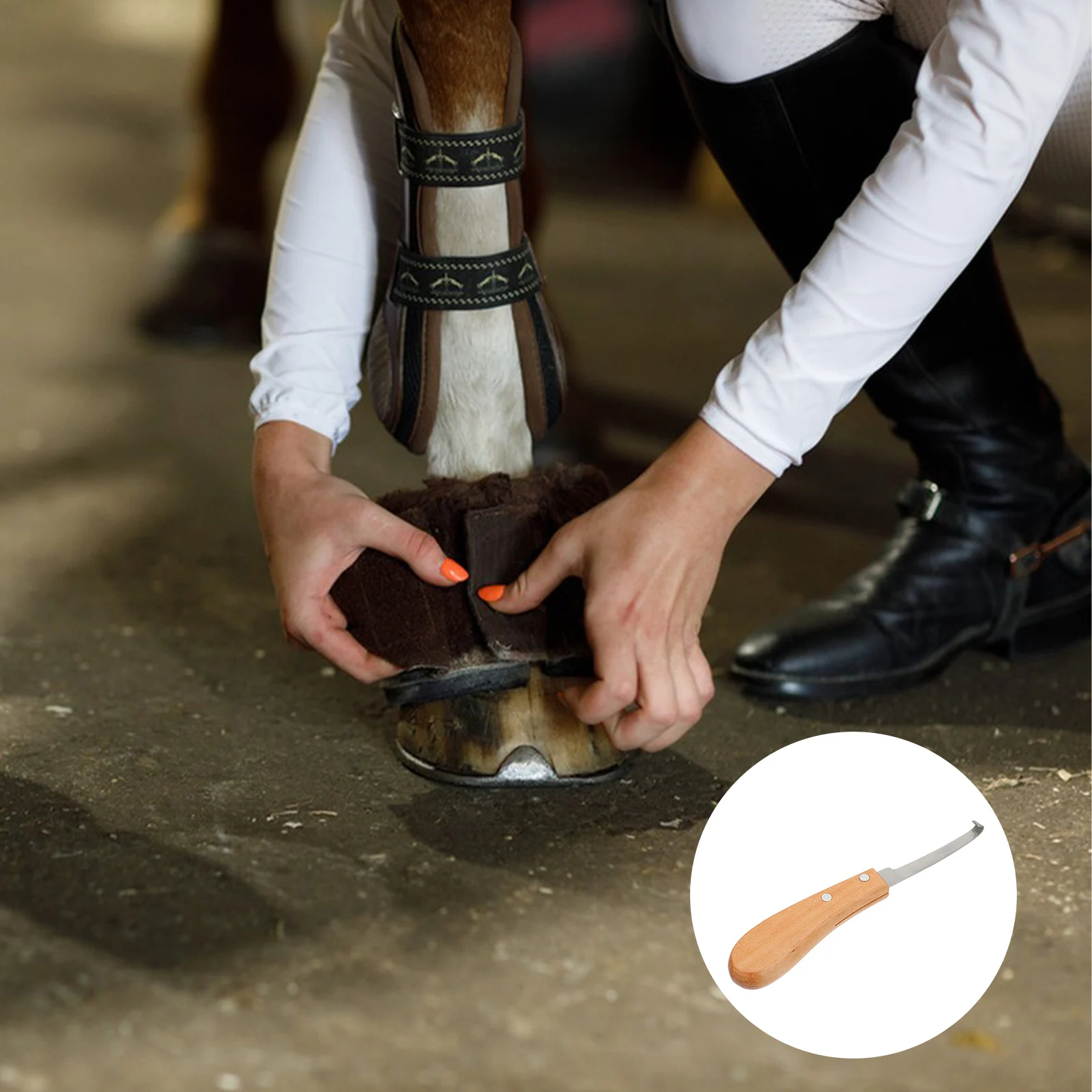 

Hoof Trimmer Stainless Steel Portable Horseshoe Repair Tool Lightweight Easy Clean Non Slip Suitable Horse Cattle Sheep Goat Pet
