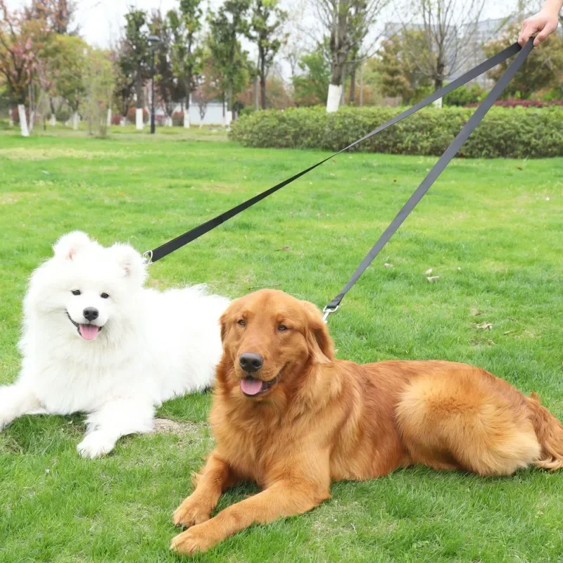 Thumbnail 2 - #81 Best Dog Leads to Buy In 2026