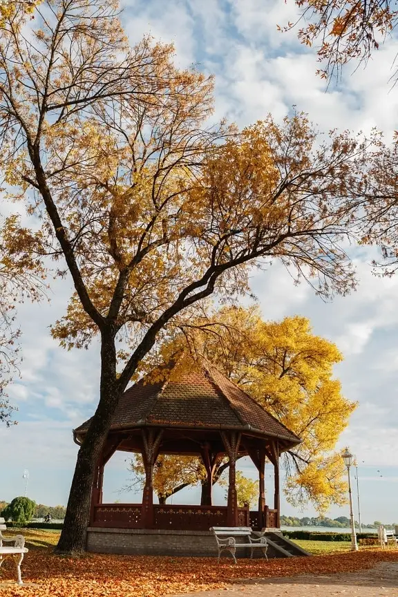 

HGLRC A125 Soccer Drone New Spherical Ddesign for All-round Protection Easy for Beginners to Use