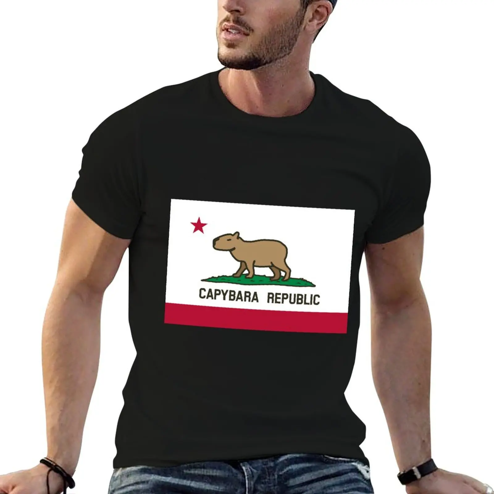 Capybara Flag (normal land version) T-Shirt Basic Casual Wear Short Sleeve Top