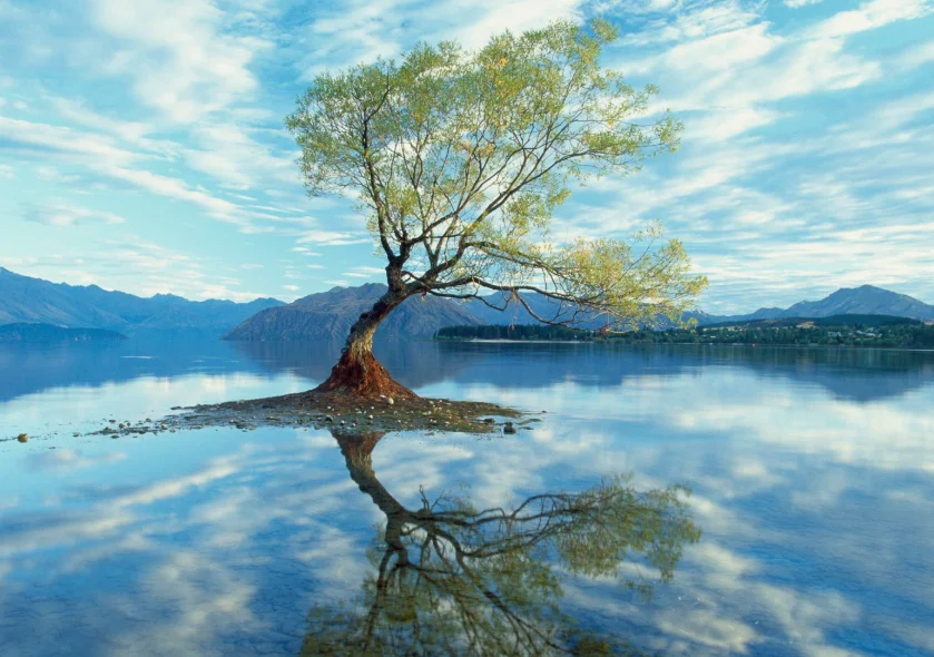 

OverShoot CS-1211MG DS-0211MG Digital Servos - 6.0V-7.4V 8-11KG Titanium Gear Coreless for RC Helicopter FPV