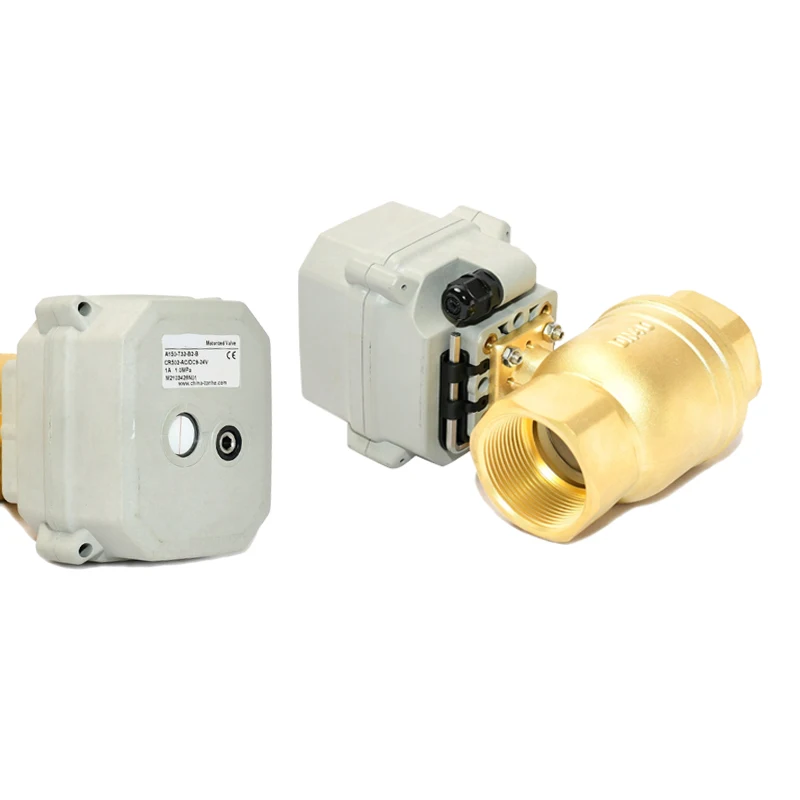 DN32 Npt Bsp Mini M…