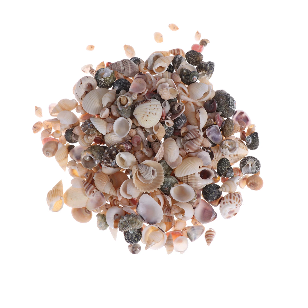 

Mini Shell Decorations Natural Sea L scape Accessories Fish Tank Conch naments Safe Shells Aquarium Decor Scenery DIY