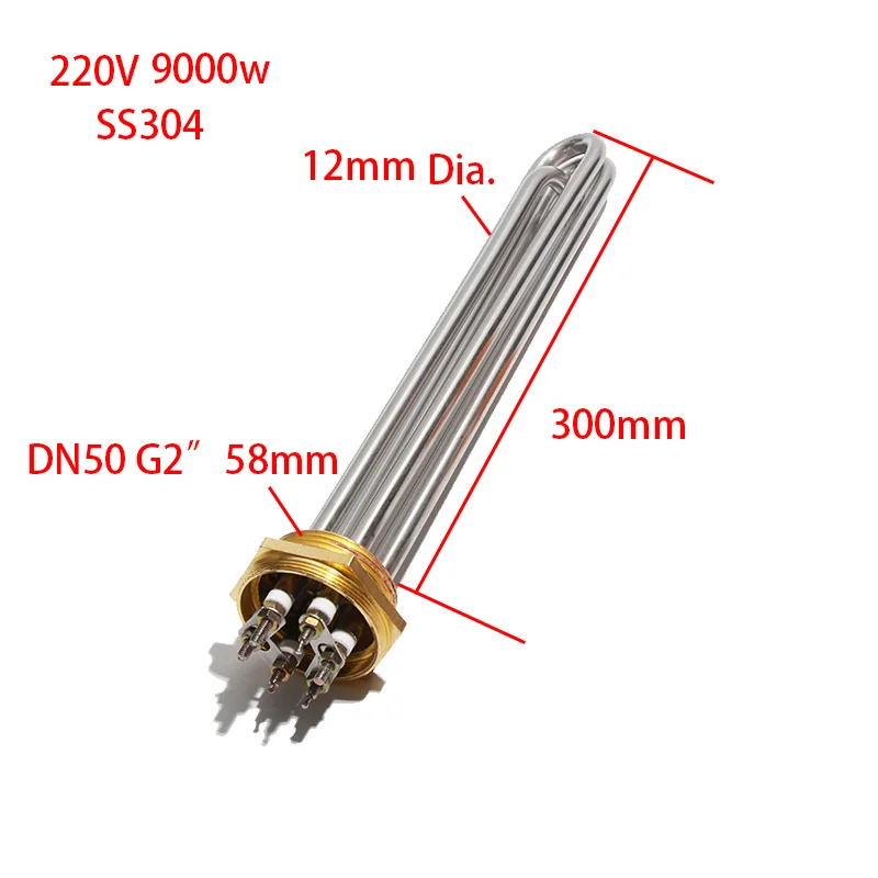 Customized Heater DN50 G2