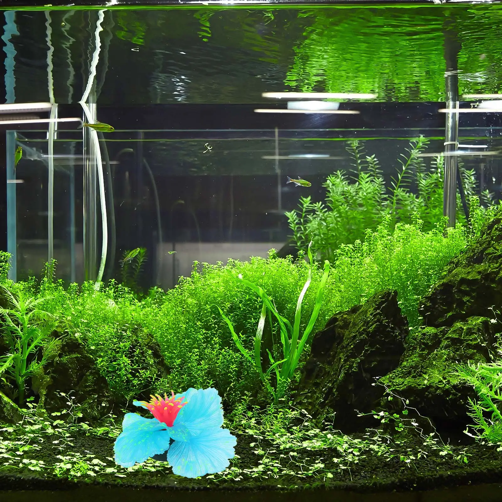 

Aquarium Decoration Lifelike Silicone Plants Bright Colors Fish Tank Water Grass Accessories Safe Quality Decorative Practical