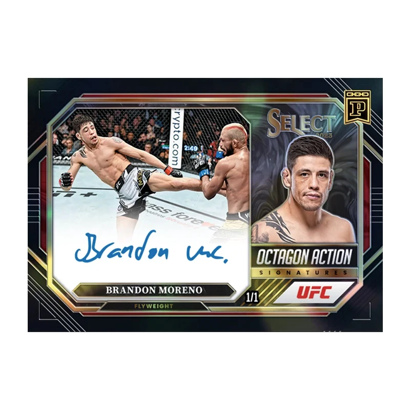 Diy Homemade Alexa Grasso Khamzat Chimaev Brandon Moreno Panini Select UFC Series Collection Flash Card Toys Gift - view 3
