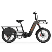 LANKELEISI Wombat-1 Adult E-Bicycle 1000W 48V20AH City Ebicycle 20 inch  Fat fetus Non Foldable LCD Instrument Electric Bicycle