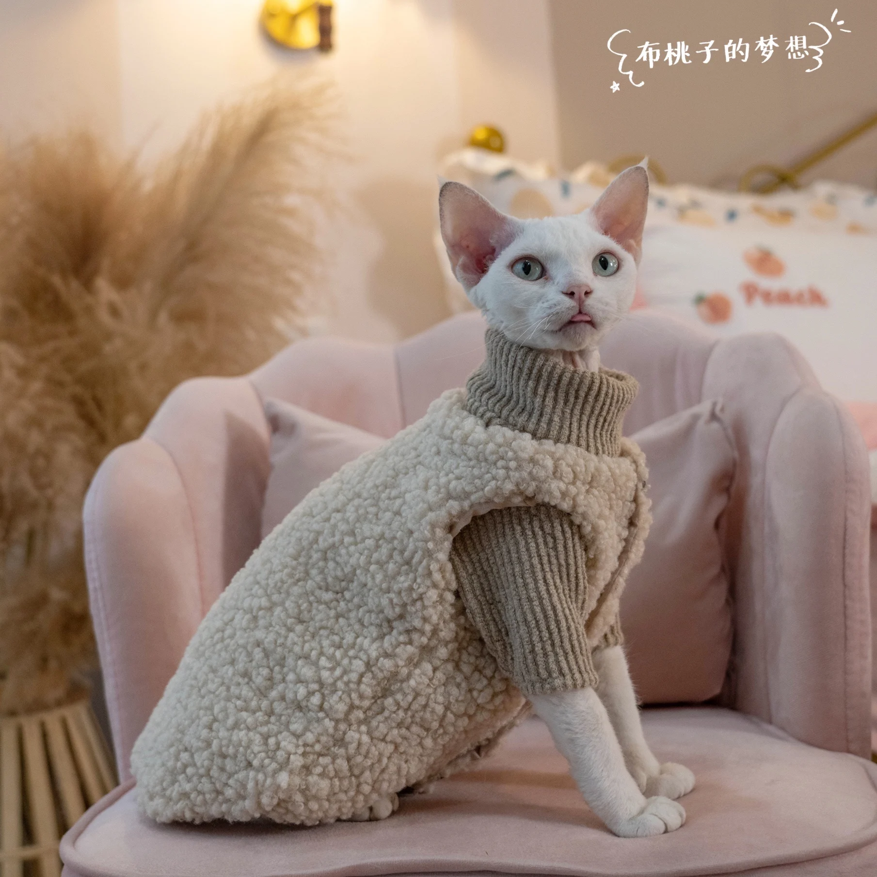 Sherpa Khaki Jacket Coat Suit for Sphynx Cat in Winter Thick Warm Sweater for Kittens Soft Coat for Devon Cat