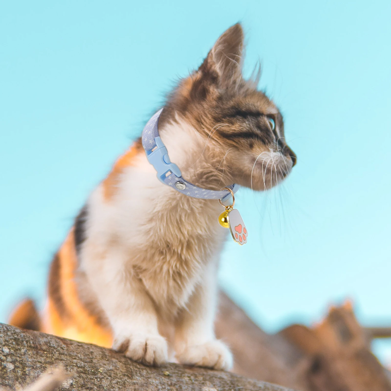 

2pcs Cat Collars Adjustable Breakaway Pendants Lightweight for Cats Neckwear Training Walking Pet Supplies