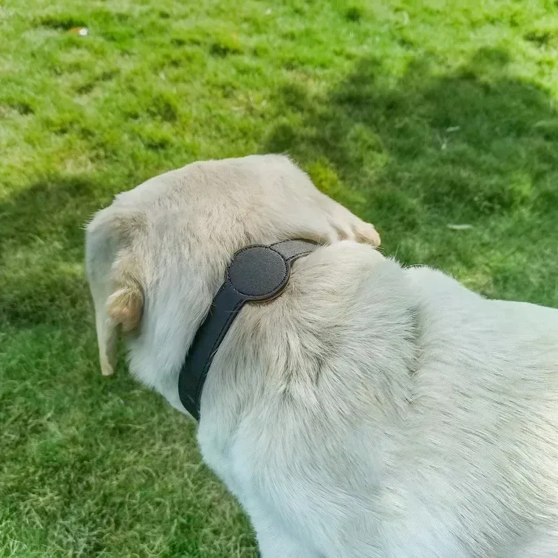 Collar de Rastreo para Perros Ajustable, Collar de Posicionamiento para Mascotas, Funda Protectora Impermeable, Collar Antipérdida para GPS