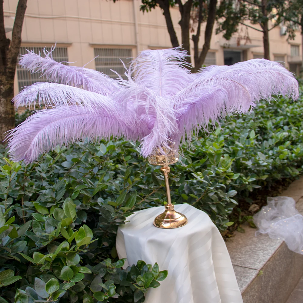 Lilac Ostrich Feathers 15-70cm Plume for jewelry making needlework Wedding Party Supplies Carnival Dancer Plumages wholesale