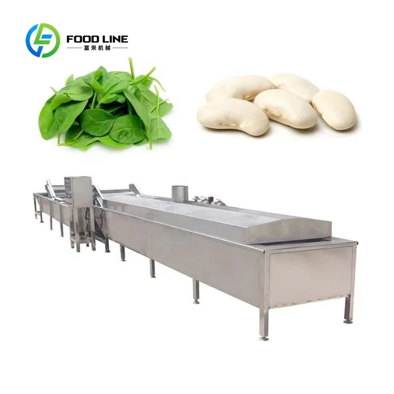 Continuous Blanching Machine FL Custom Wholesale Industrial Hot Selling For Fruit Vegetable Noodle Cooking Scalding Boiling