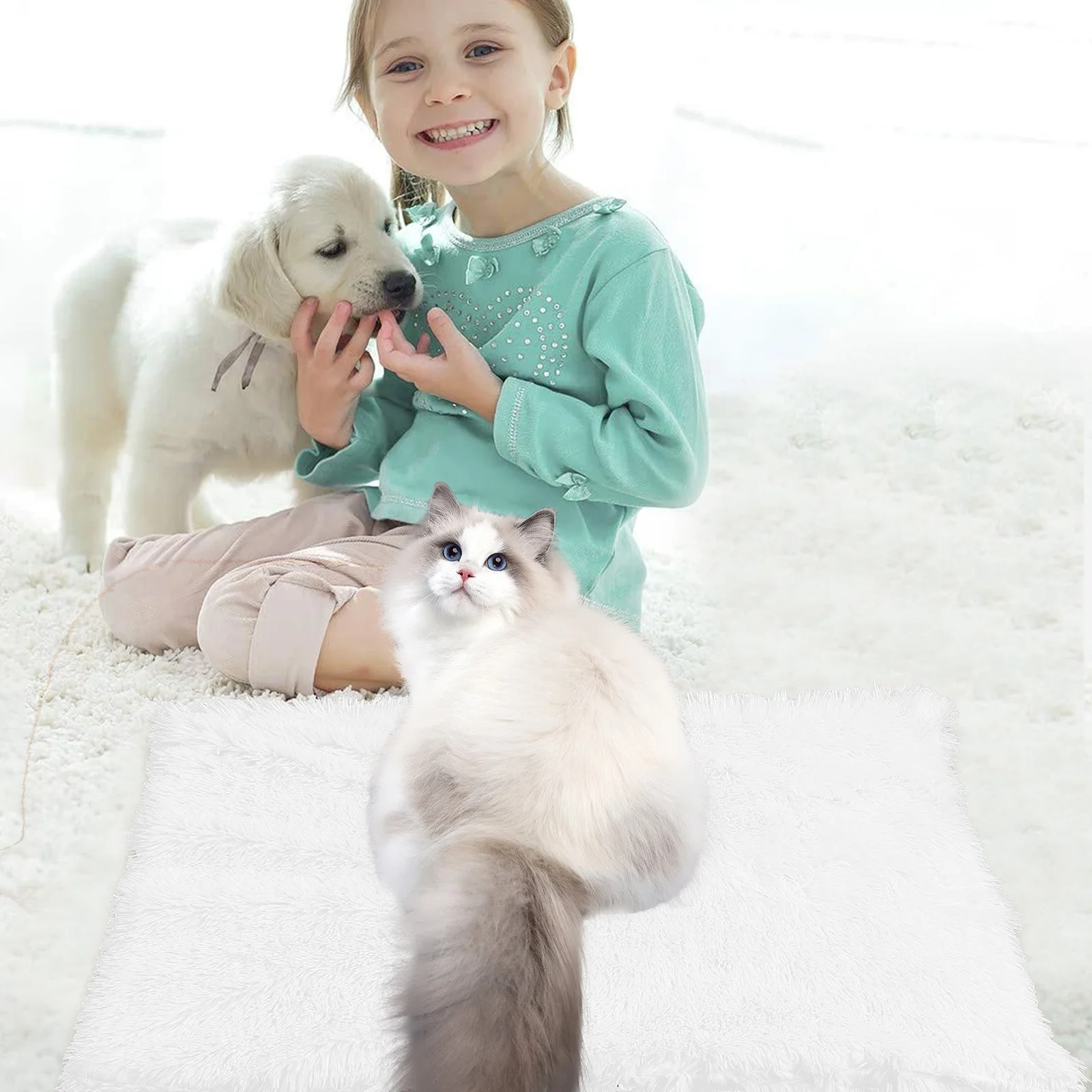 حصيرة بطانية دافئة وناعمة للحيوانات الأليفة للكلاب والقطط، وسادة نوم محمولة مثالية للاستخدام الداخلي والخارجي، راحة مريحة لجميع المواسم